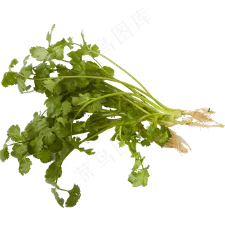 新鲜的蔬菜佐料免抠图