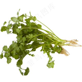 新鲜的蔬菜佐料免抠图