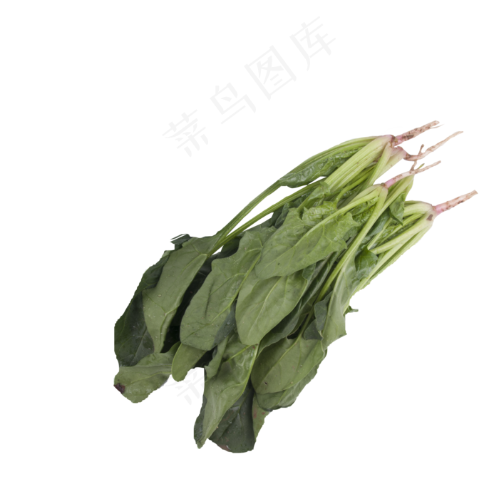 绿色菠菜食物(2000X2000(DPI:300))