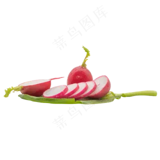 农家蔬菜水萝卜