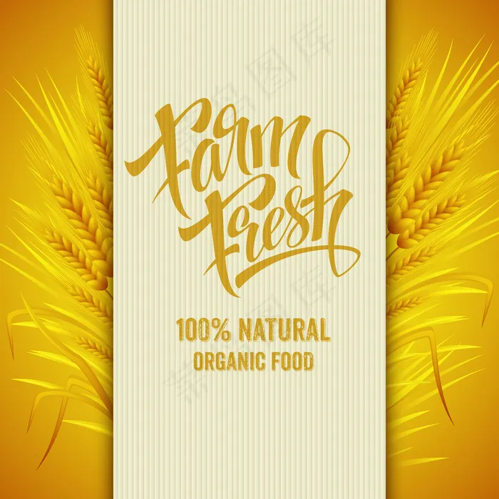农场新鲜横幅banner。天然食品eps,ai矢量模版下载
