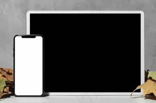 靠近叶子放在桌子上的模型样机装置