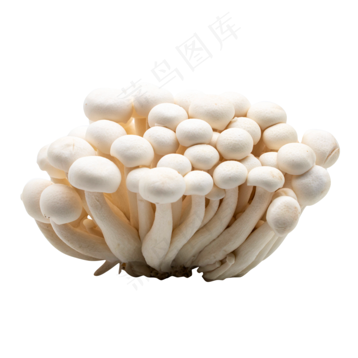 蔬菜美味蘑菇(2000X2000(DPI:300))
