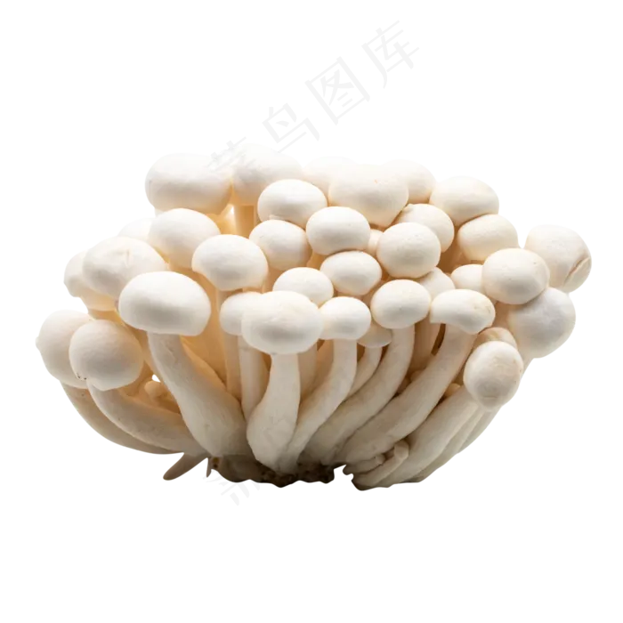 蔬菜美味蘑菇(2000X2000(DPI:300))