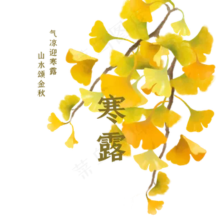 寒露国风金色银杏叶