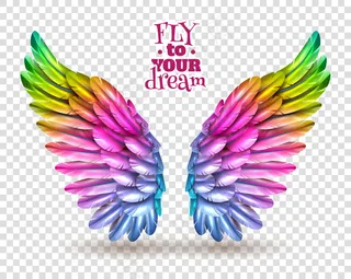 彩色翅膀透明套装