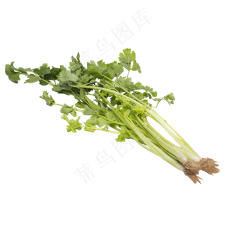 绿色芹菜蔬菜食物实拍