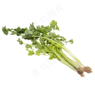 绿色芹菜蔬菜食物实拍
