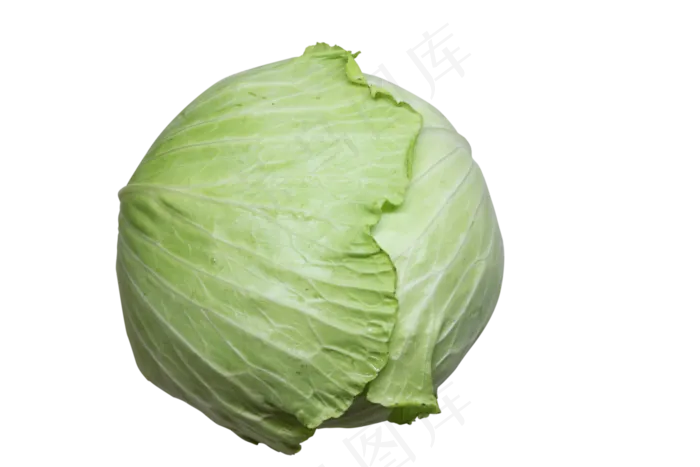 包心菜蔬菜免扣(500X500)