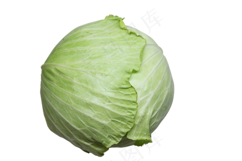 包心菜蔬菜免扣