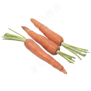 新鲜的胡萝卜