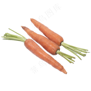 新鲜的胡萝卜