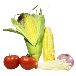 玉米洋葱农产品蔬菜组合 玉米洋葱农产品蔬菜组合