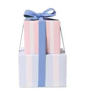 礼盒 彩带 飘带图片 蝴蝶结 礼结