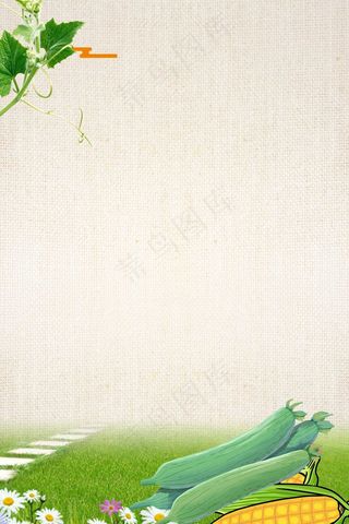 有机蔬菜质量保证