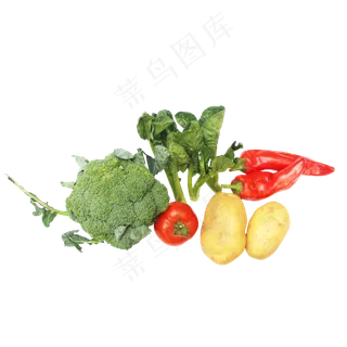 西红柿辣椒土豆菜芯西兰花蔬菜组