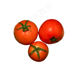 西红柿蔬菜（png免抠）