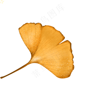 黄色秋天落叶枯叶枯枝败叶手绘简