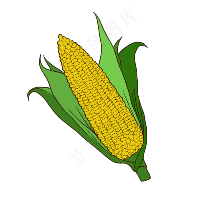 手绘立秋秋季卡通玉米