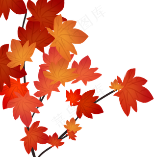 秋叶枫叶秋天落叶手绘可商用元素