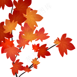 秋叶枫叶秋天落叶手绘可商用元素