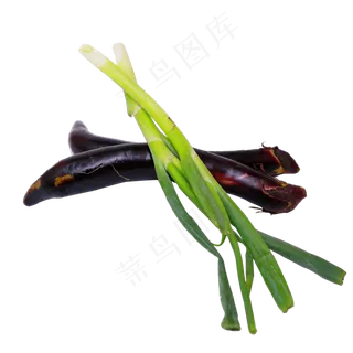 大葱茄子 大葱茄子