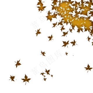 秋季凋零的树叶 秋季凋零的树叶