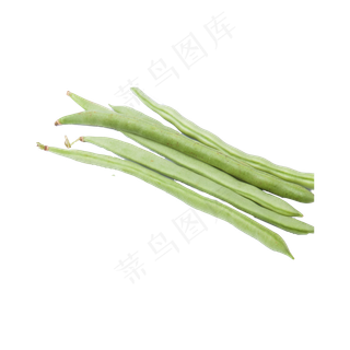 刀豆（png免抠）
