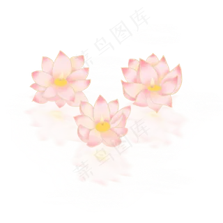 中元节粉色荷花灯