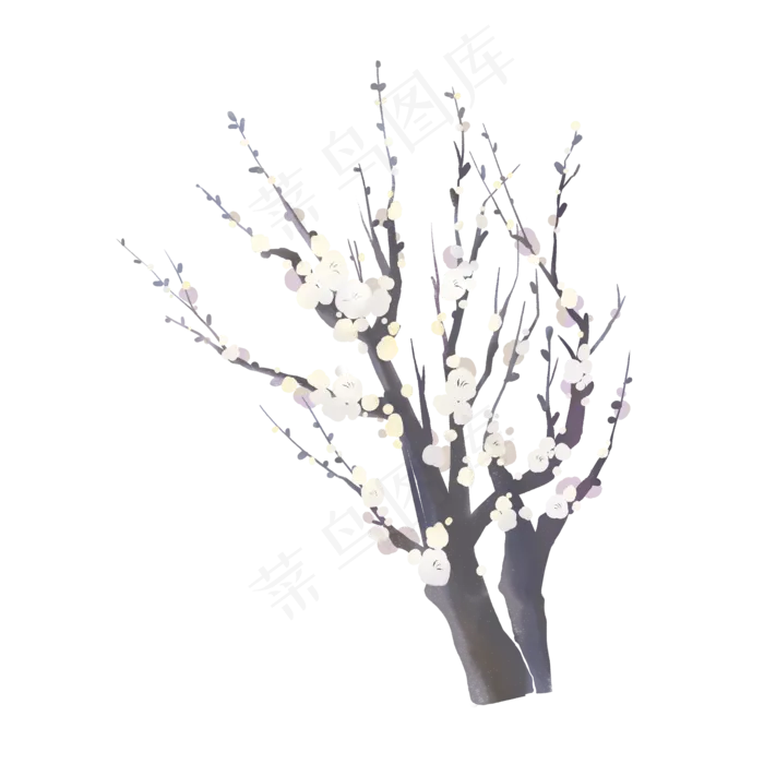 手绘花朵梅花白色双枝白梅(2000X2000(DPI:300))psd模版下载