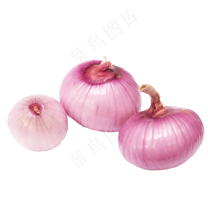 食材洋葱(1024X1024(DPI:299))
