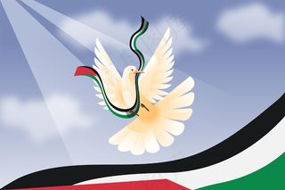 梯度和平鸽背景