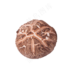 香菇（png免抠）