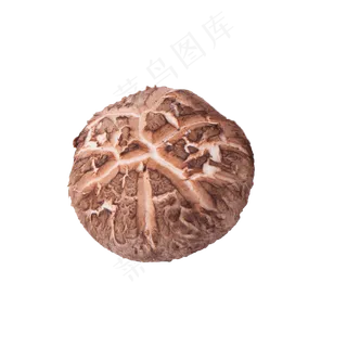 香菇（png免抠）