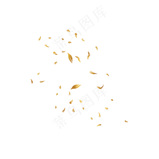 黄色落叶花朵树叶夏天