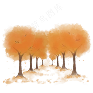 秋天金黄色树叶枫树