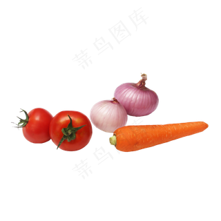 萝卜洋葱番茄