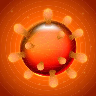 橙色冠状病毒细胞