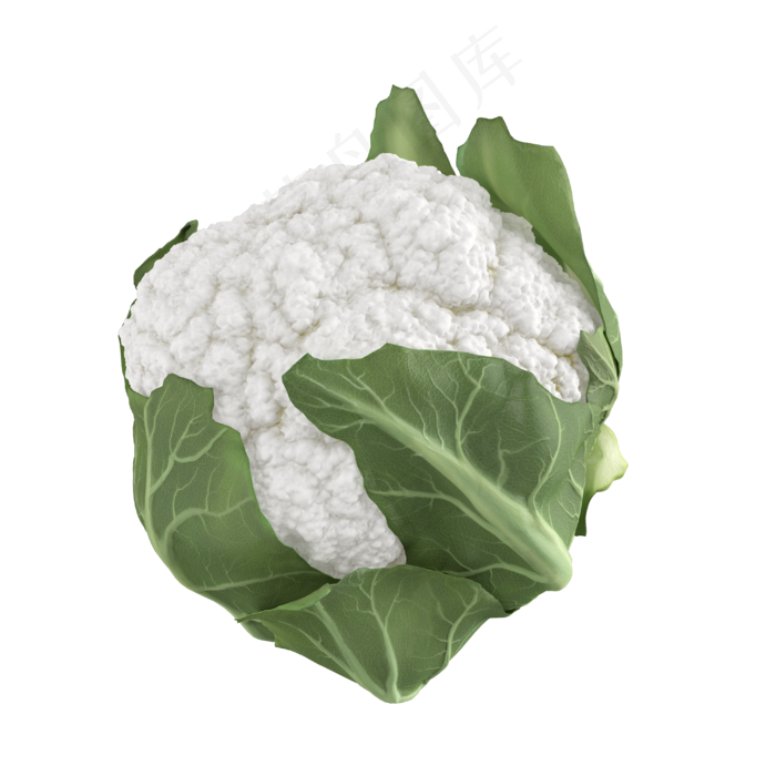 立体蔬菜花菜花椰菜(3000X3000(DPI:300))psd模版下载