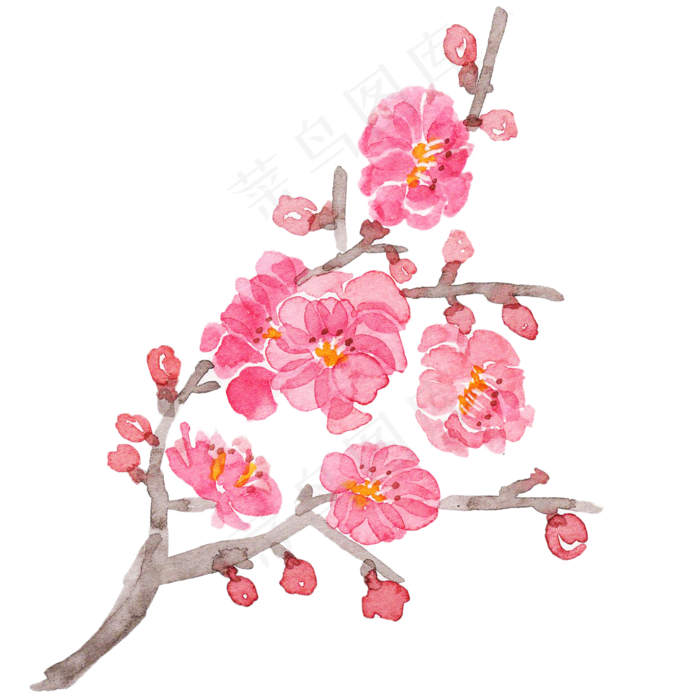水彩花朵梅花花枝