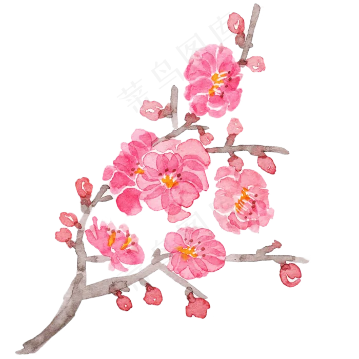 水彩花朵梅花花枝(2000X2000(DPI:300))psd模版下载