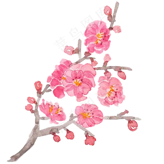 水彩花朵梅花花枝
