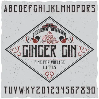 姜汁杜松子酒字体海报上装饰简单的标签设计插图