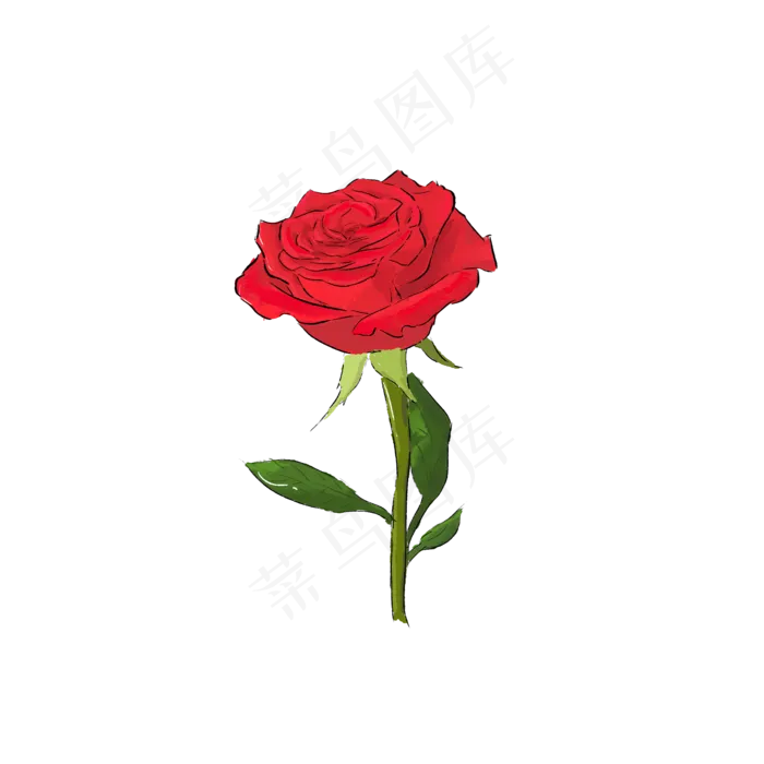 玫瑰花情人节