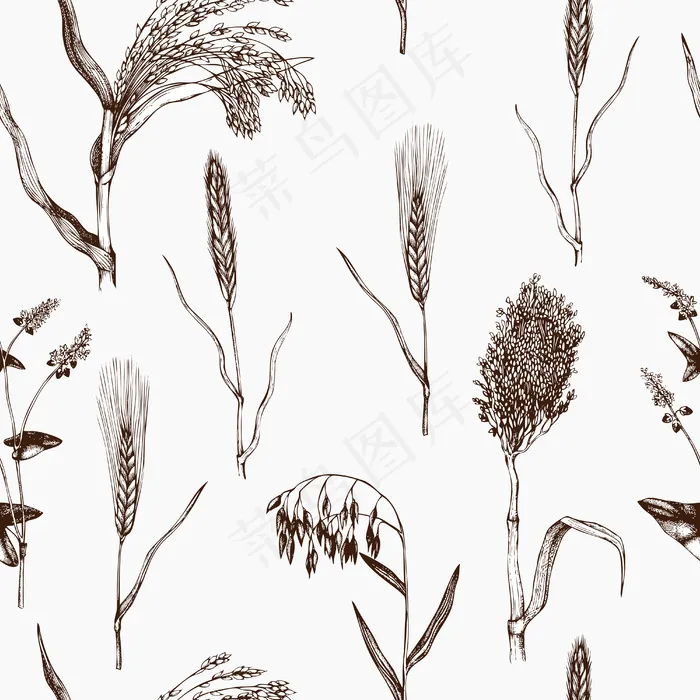 手绘谷类作物图案。农业植物背景eps,ai矢量模版下载