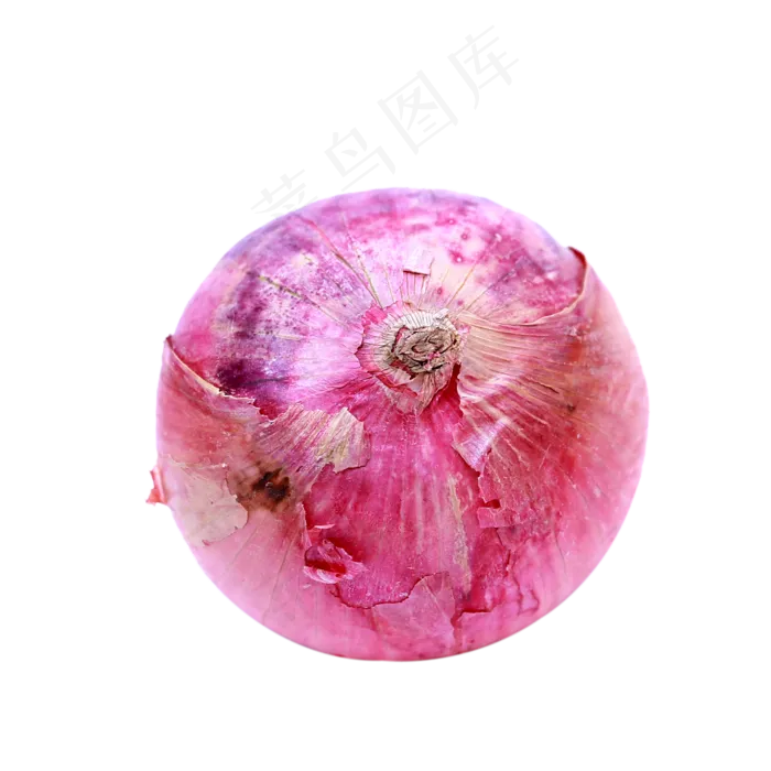 食物蔬菜洋葱(2000*2000px 300 dpi )