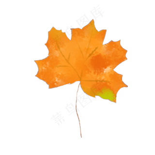 手绘秋天枫叶可商用元素