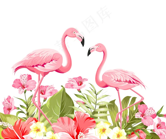 白色背景上的热带花和火烈鸟。矢量图解。