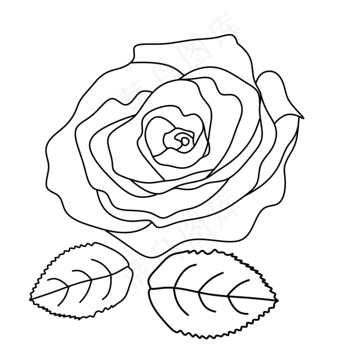 玫瑰线稿图素材