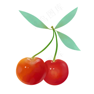 红色樱桃水果